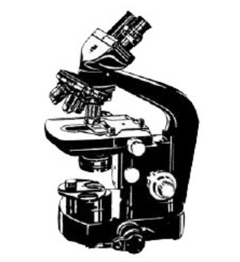 Conventional Microscopes